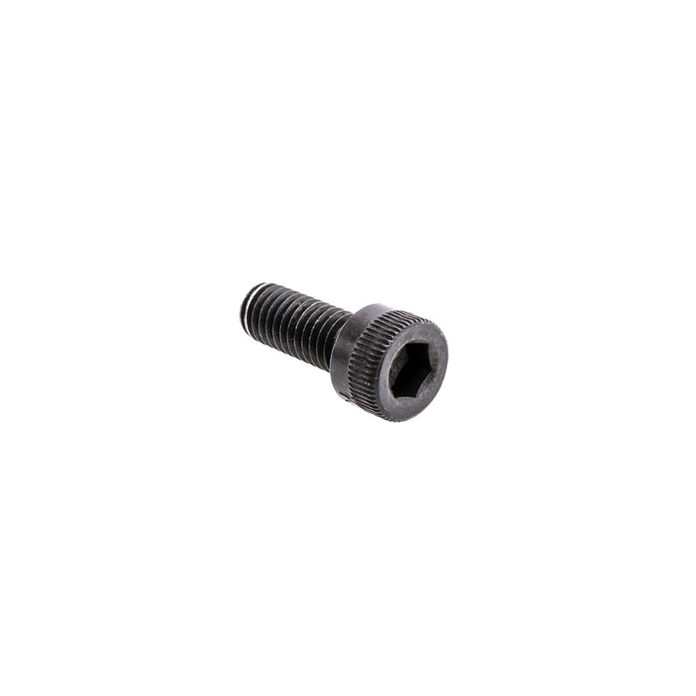 Screw SHCS 1032X.5"