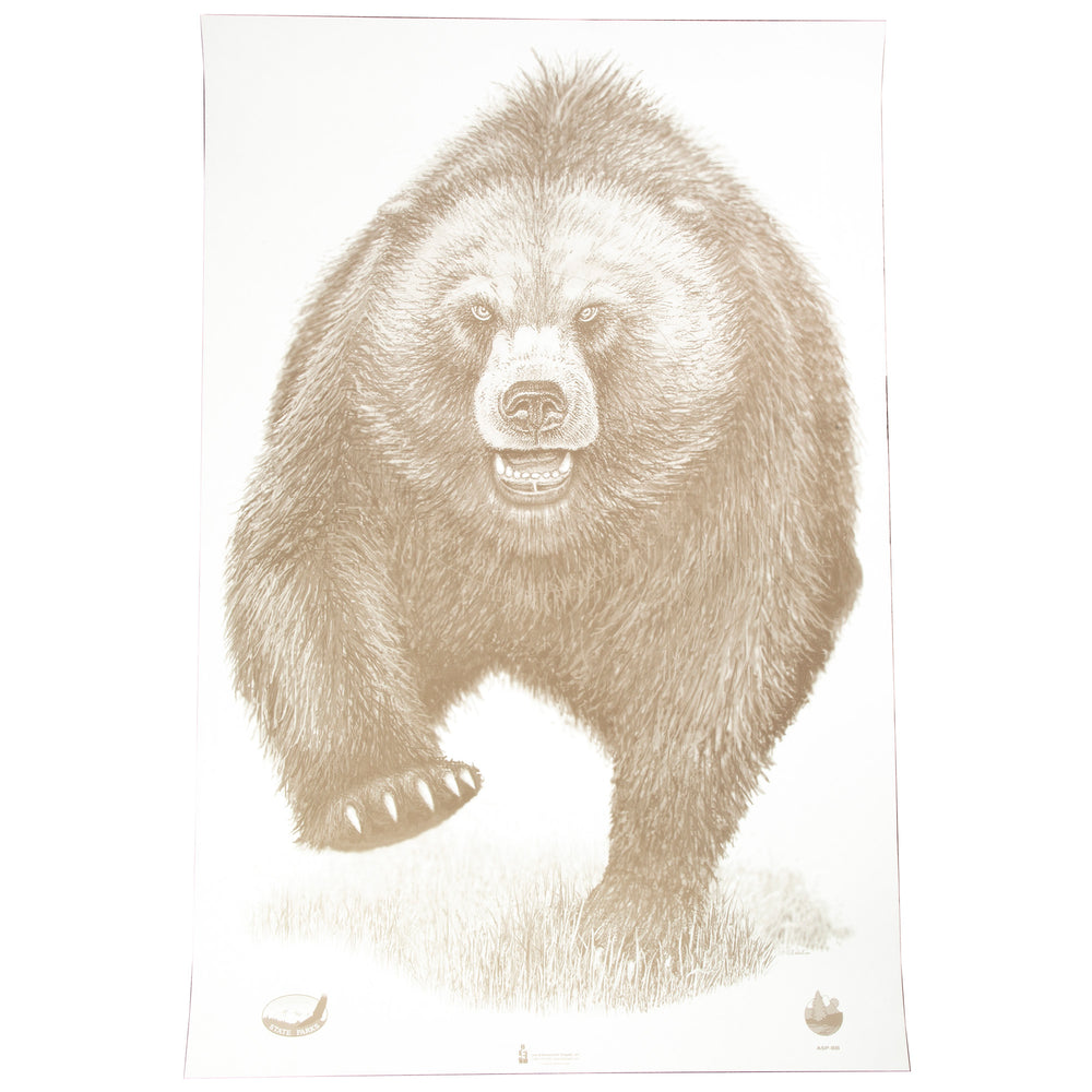 Action Target AK State Park Bear 100-Pack