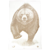 Action Target AK State Park Bear 100-Pack photo 1