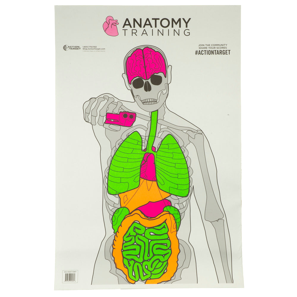 Action Target Anatomy Training 100-Pack