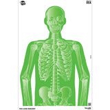 Allen EZ Aim 12X18 Imposing 8-Pack photo 1