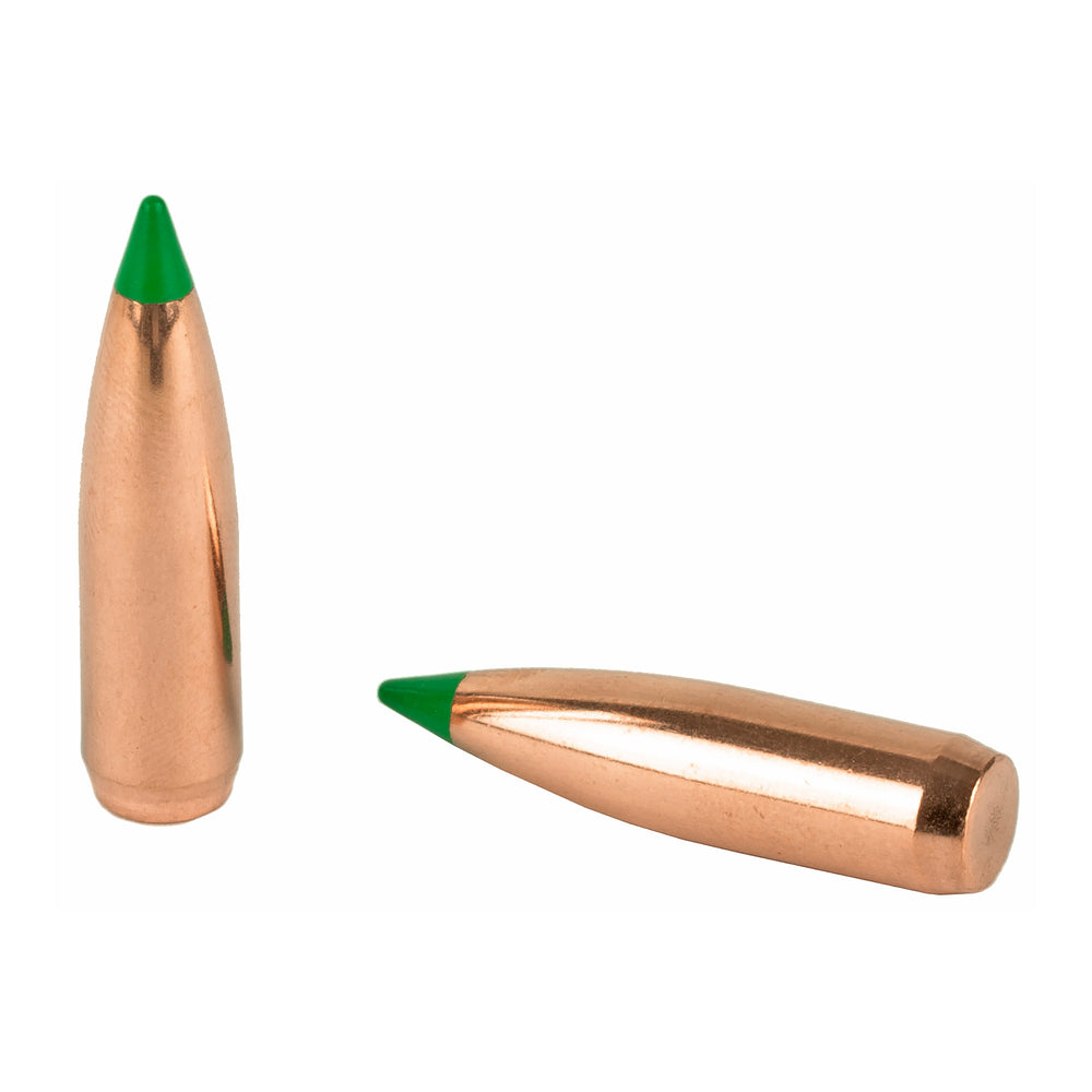 Nosler 30 Caliber 165-Grain 50-Count