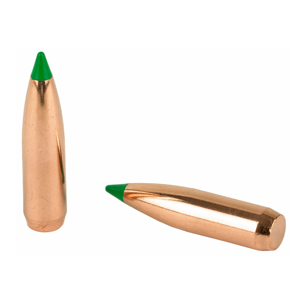 Nosler 30 Caliber 180-Grain 50-Count