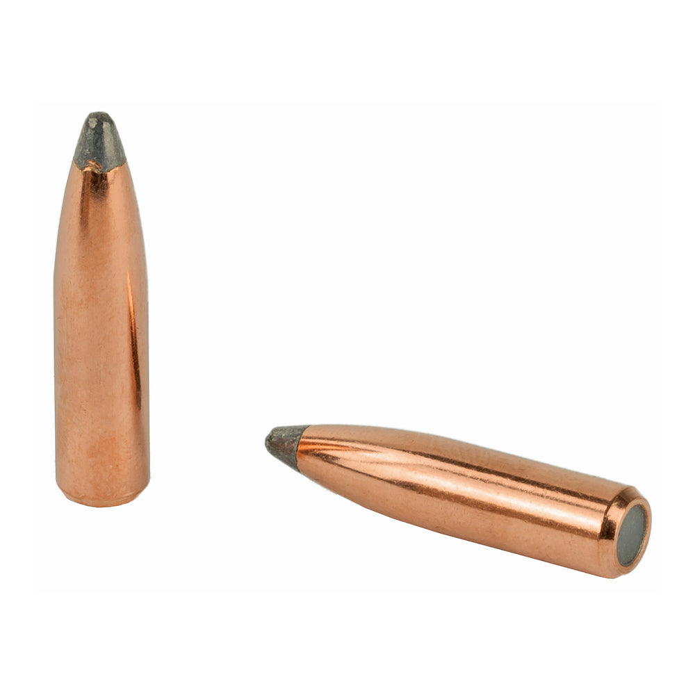 Nosler 6mm 100-Grain SP Partition 50-Count
