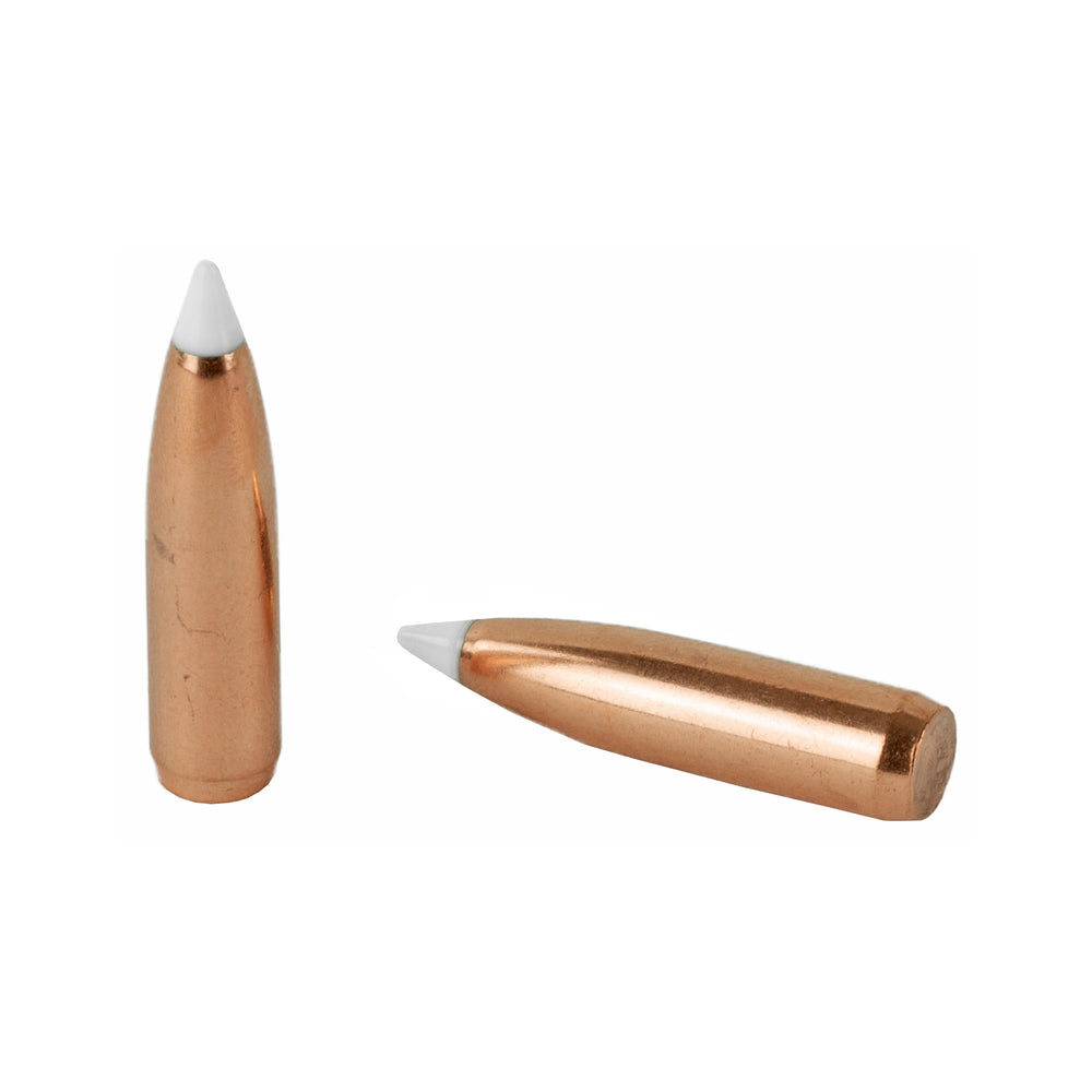 Nosler 270 Caliber 130-Grain Accubond 50-Count