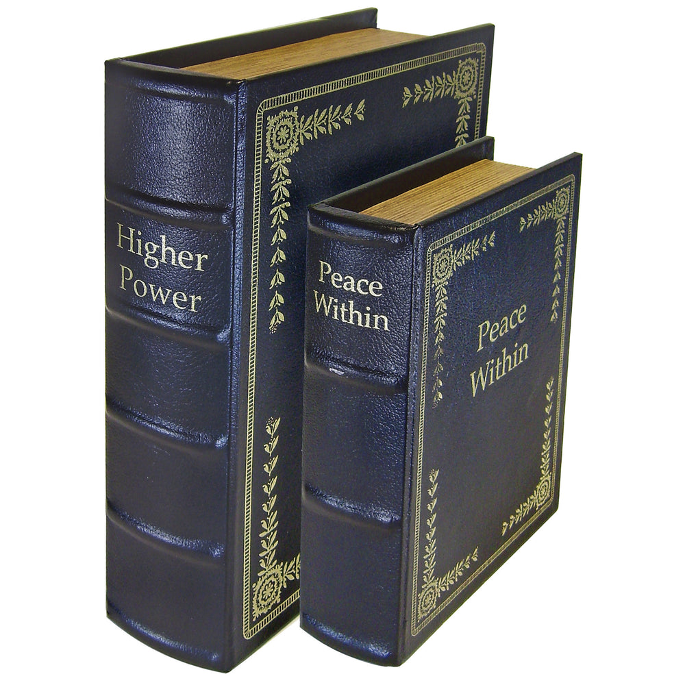 PS Diversion Books - Set Of 2