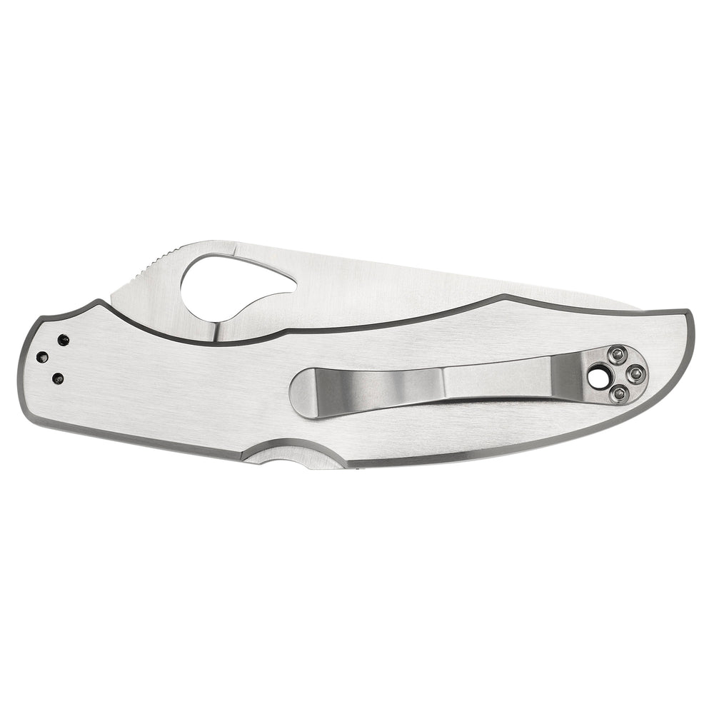 Spyderco Byrd Cara Cara 3.75 Combo · 3PS2