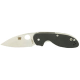 Spyderco Efficient G-10 Satin Plain photo 2